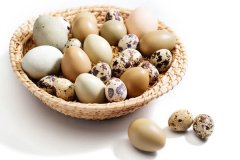 蛋类最适合肾友补充蛋白 但要小心这5种蛋